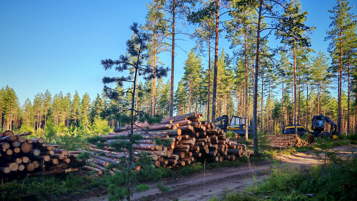 Sijoitustuottoja laski yhtiön mukaan kantorahatulojen pienentyminen.
