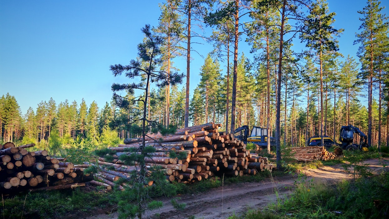 Sijoitustuottoja laski yhtiön mukaan kantorahatulojen pienentyminen.