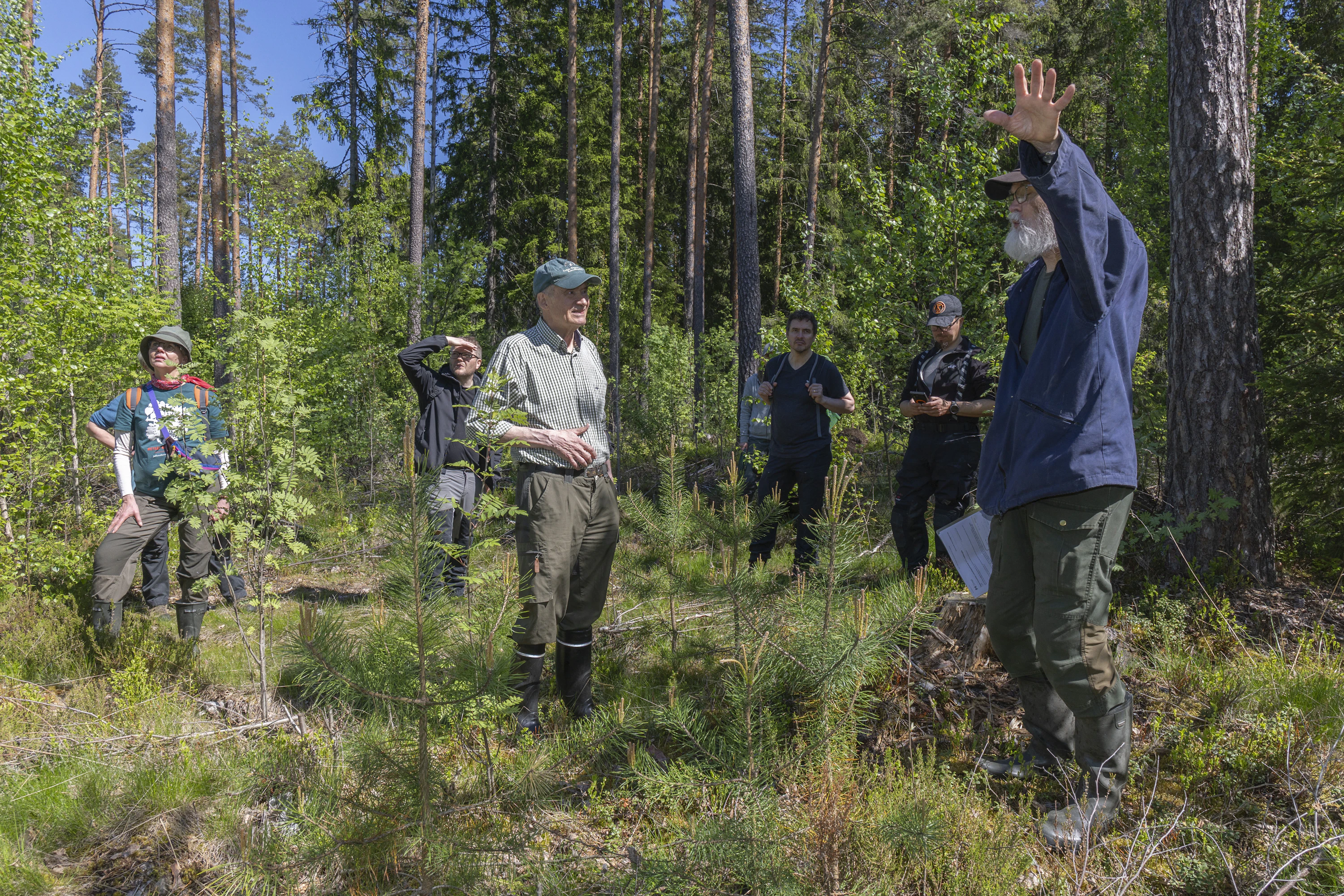 Silva ry:n vertaisoppimisretkillä metsänomistajat voivat jakaa kokemuksiaan keskenään. Mukana on aina myös asiantuntija.