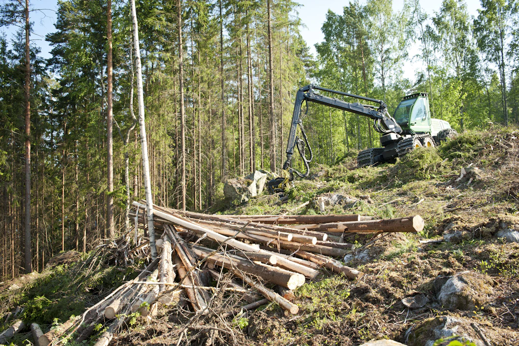 Puukauppa on käynyt alkuvuonna vauhdikkaasti. Metsäteollisuus ry:n jäsenet ovat ostaneet alkuvuonna yksityismetsistä yli puolet enemmän puuta kuin viime vuonna vastaavana ajankohtana.