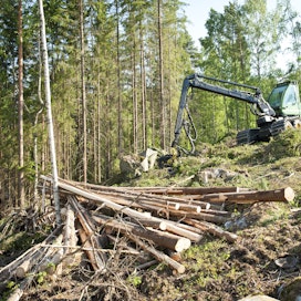 Puukauppa on käynyt alkuvuonna vauhdikkaasti. Metsäteollisuus ry:n jäsenet ovat ostaneet alkuvuonna yksityismetsistä yli puolet enemmän puuta kuin viime vuonna vastaavana ajankohtana. 