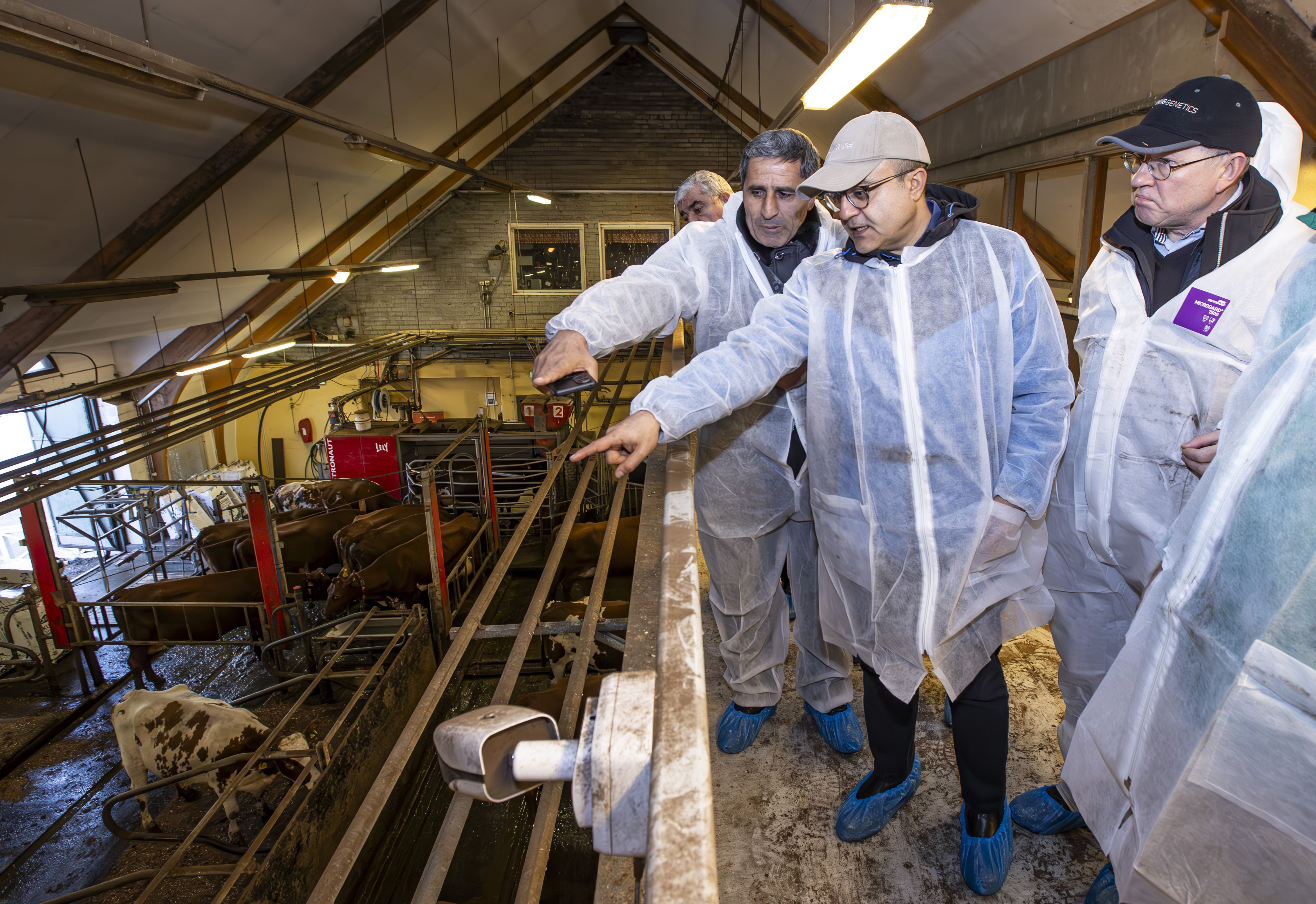 Helsingin yliopiston Viikin koetilan navetassa vieraili viime viikolla ryhmä, jota kiinnostaisi ostaa suomalaisia jalostuseläimiä. Kuvassa keskellä karjatilan Azerbaidžanissa omistava Ahmet Batur. Hänen vieressään vientipäällikkö Seppo Niskanen Viking Geneticsiltä.