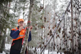 Mikko Tiirolan mukaan Ylen metsäuutisoinnissa on selkeitä virheitä.