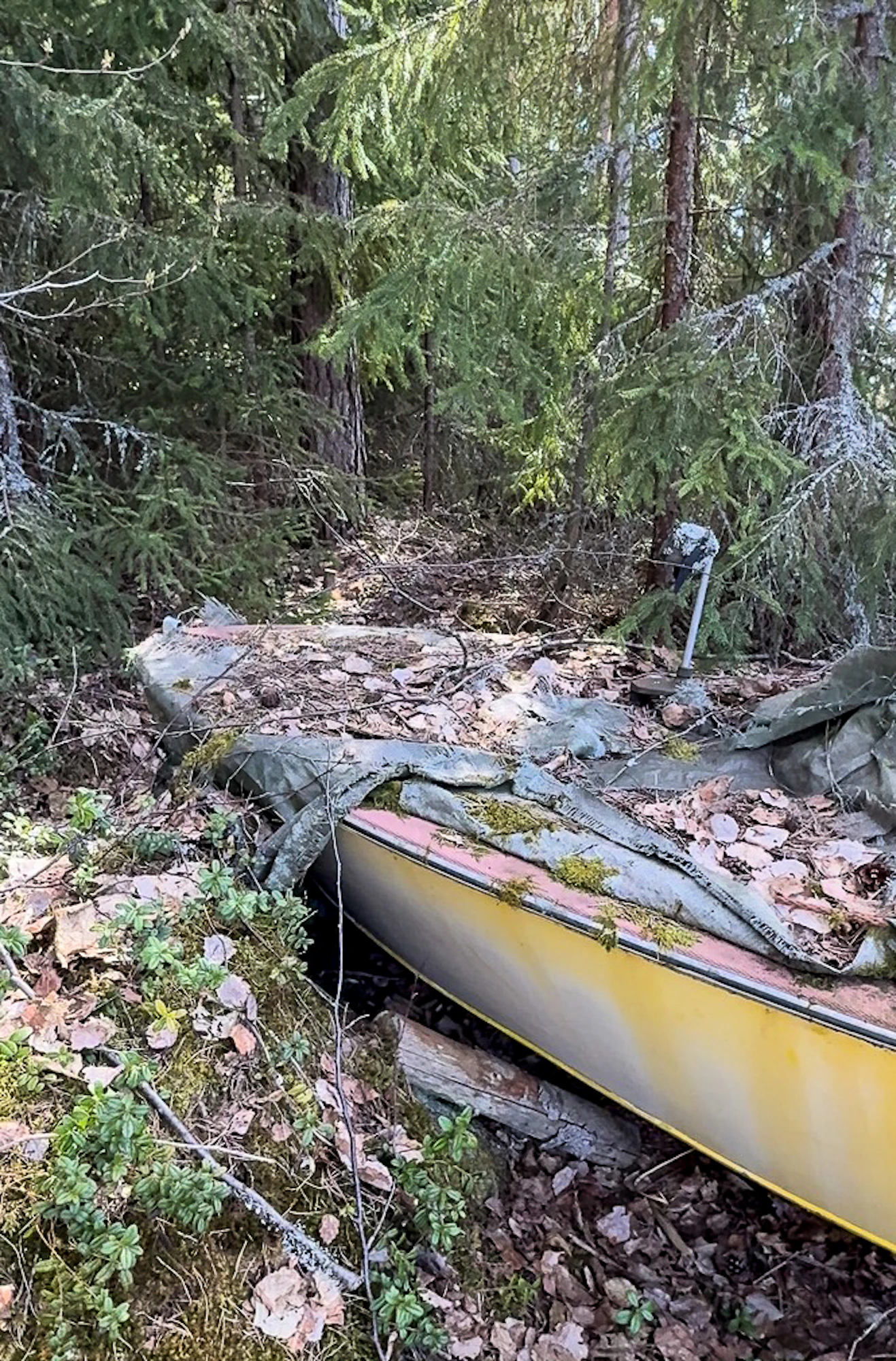 Lahonneet pressut ja sammal kertovat ajan kulusta. Silti runko oli säilynyt yllättävän hyvänä, vain maali oli haalistunut.