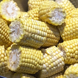 Maissin myynti kasvaa kesällä merkittävästi.