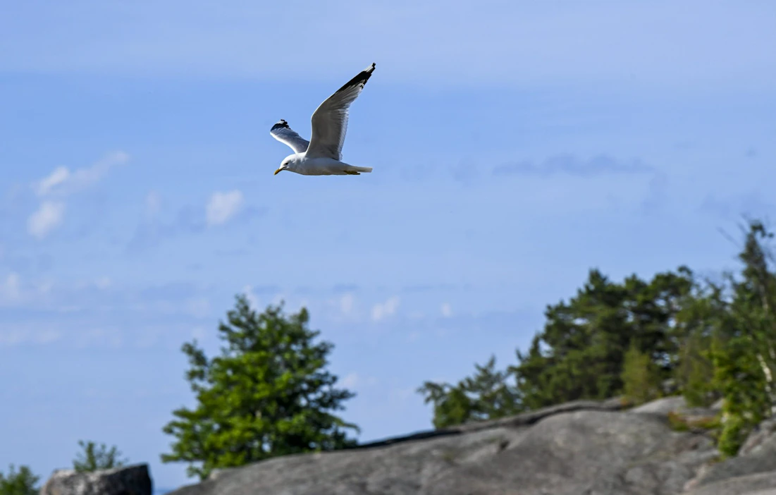 Etelään on odotettavissa 20–22 asteen ja pohjoiseen 18–19 asteen lämpötiloja.