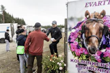 Kaukosessa oli todella panostettu Evartin vierailuun. Kolminkertaiselle ravikuninkaalle oli rakennettu oma karsina, ”kuninkaallinen aitio”, jonka edessä Antti Ojanperä jakoi Evartti-kortteja.