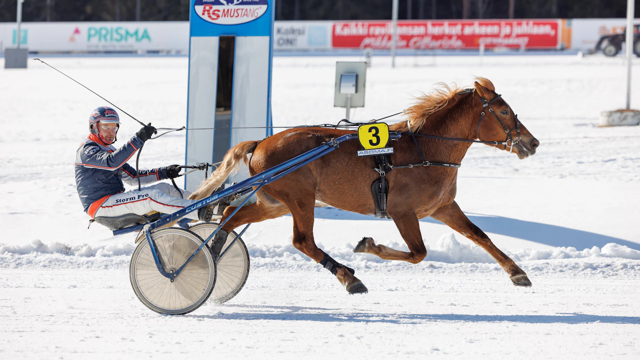 Falk aloitti uransa neljän voiton putkella. Voitoista ensimmäinen tuli Mikkelissä vielä talvisissa olosuhteissa.