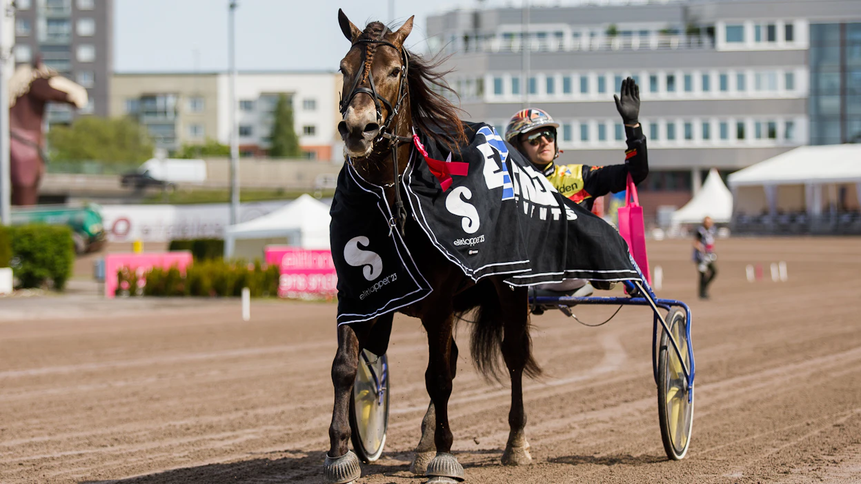 Bäcklös Uriel voitti kaudella 2023 peräti kymmenen lähtöä. Yksi voitoista tuli Elitloppet-lauantaina Solvallasta.
