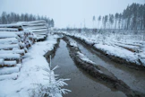 Talvi on ollut puunkorjaajien mieleen, mutta maan etelässä vesisateet ja kohonneet lämpötilat ennakoivat jo kelirikkoa.