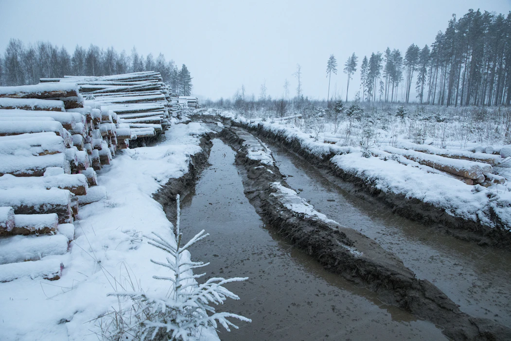 Talvi on ollut puunkorjaajien mieleen, mutta maan etelässä vesisateet ja kohonneet lämpötilat ennakoivat jo kelirikkoa.