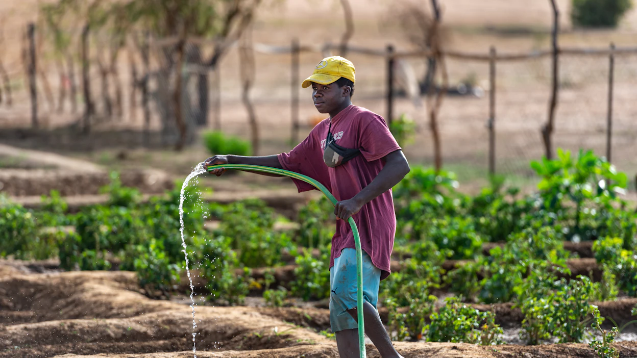 IFAD toimii muun muassa Afrikan länsirannikolla sijaitsevassa Mauritaniassa. Maan luoteisosassa Gourayen kaupungissa maanviljely on väestön pääasiallinen elinkeino. Kuvassa Cheikh Zakaria Baby kastelee perheensä pienviljelmää.