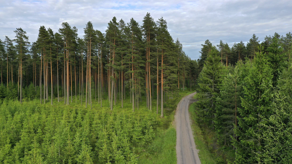 Nykyään yhä useammin tiekunnan osakas on kaukana asuva ulkopaikkakuntalainen. Tämän vuoksi asiakirjojen saaminen sähköisesti on tärkeää.