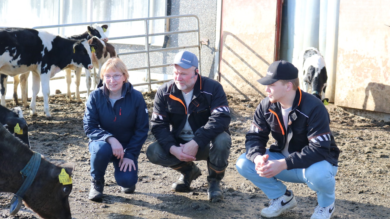 Parin vuoden sisällä Kyyjärvinen Mäntysen perhe, Jyrki (keskellä), Tarja ja Sami yhdistävät voimansa ja perustavat maitotilan ympärille maatalousyhtymän.