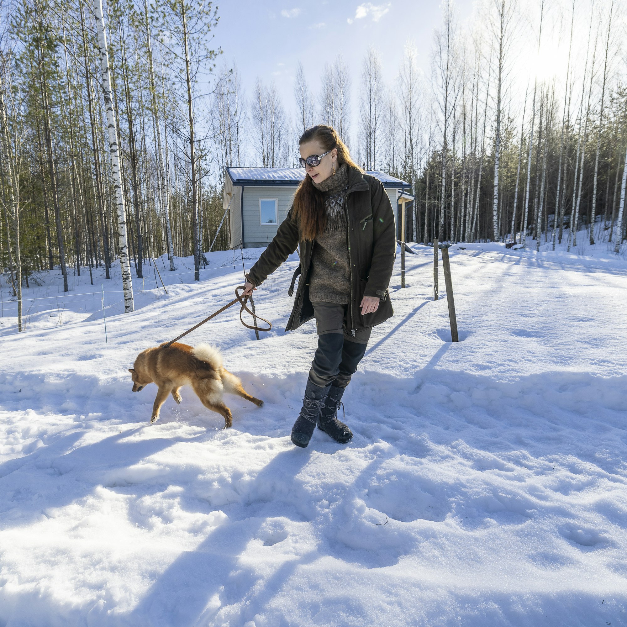Metsä alkaa heti talon vierestä. Nurmikkoa Nea Laihanen ei kaipaa, vaan suunnitelmissa on tehdä niitty- tai kunttapiha.