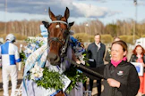Cokstile ja Anu Intonen tulivat, näkivät ja voittivat Vermossa. Taustalla vasemmalla häämöttää ohjastaja Christoffer Eriksson hevosenomistajan Renato Santesen perinteisissä väreissä.