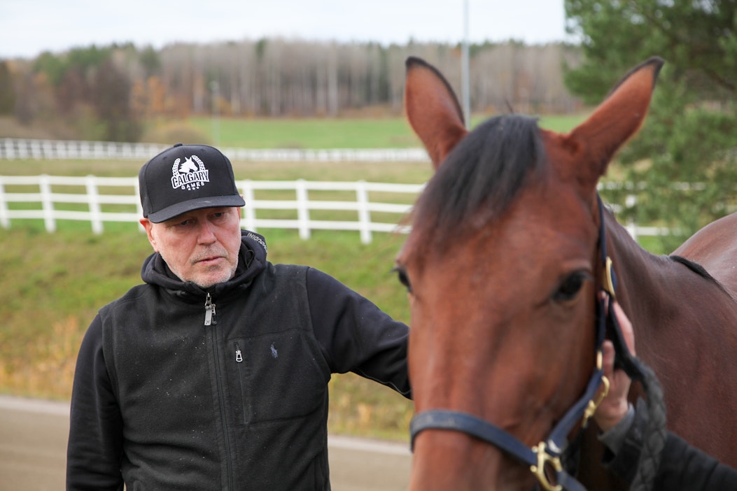 Timo Nurmos tarkastelemassa Suomen derbyvoittajan Target Hossin tytärtä Foremostia, jonka isä on Readly Express.