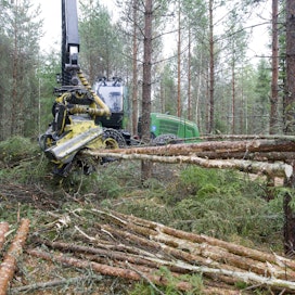 Etenkin energiapuun korjuutyömailla on syystalvella ollut hiljaista.