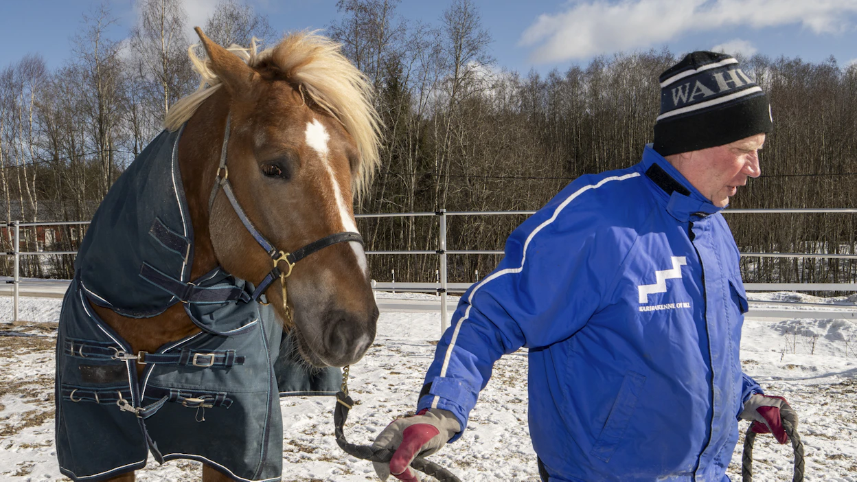 Legendaarinen hevoskauppias Leo Mönttinen möi Siirin Sällin pitkään suomenhevosesta haaveilleelle Risto Silanderille.