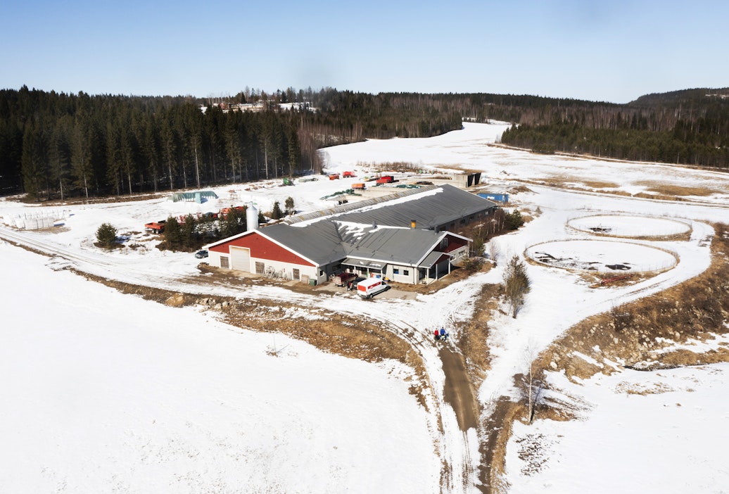 Maatila Vieremällä vuonna 2025. Kuvituskuva.