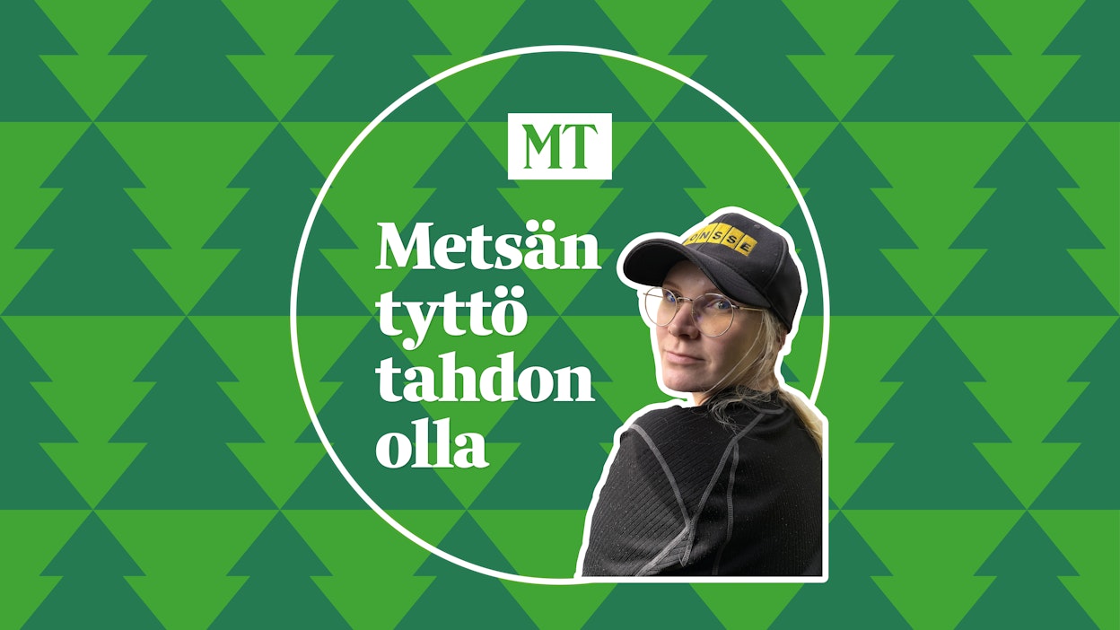 Kilpikaarnamännyt säväyttävät metsäkoneenkuljettajaa.