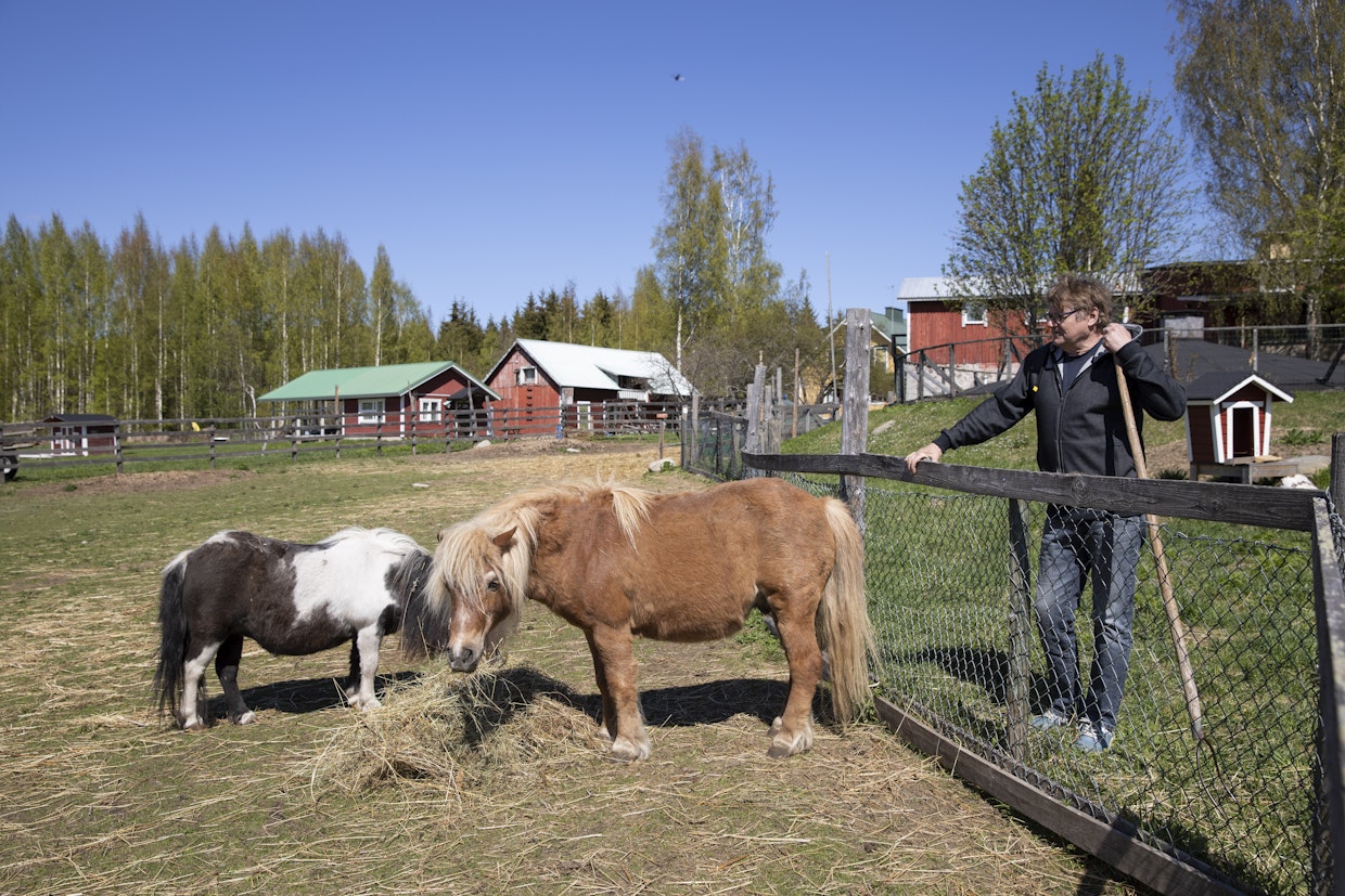 Maatilaleireillä päästään hoitamaan muun muassa shetlanninponeja, Friidaa ja Verttiä. 