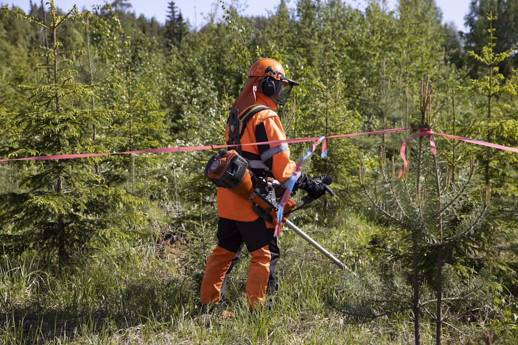 Inflaatio ylitti metsätilojen hintojen nousuvauhdin alkuvuonna - MT Metsä -  Maaseudun Tulevaisuus