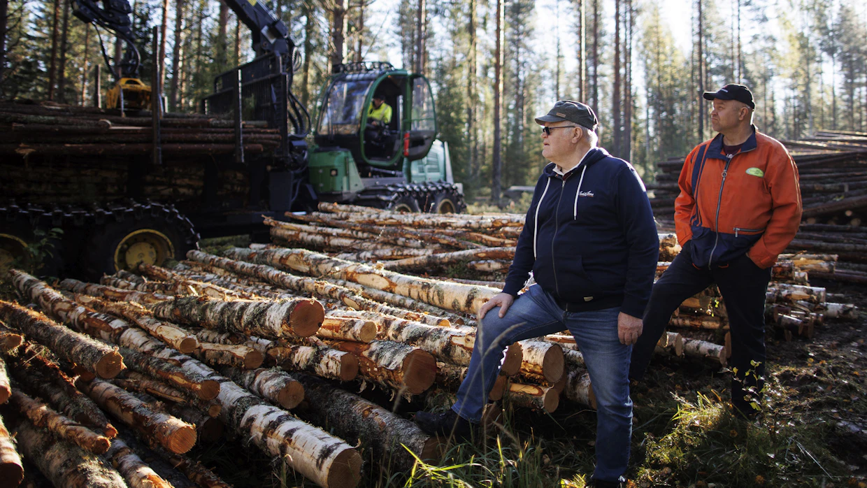 Tuomo Haapakosken kokemukset puun yhteismyynnistä ovat olleet hyviä 1970-luvulta asti ja hänen poikansa Toni Haapakoski on jatkanut samalla samalla tiellä.
