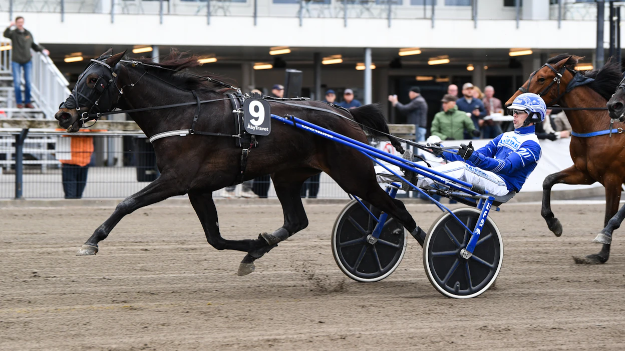 Daniel Wäjerstenin Vivillion lunasti jälleen yhden ikäluokkakilpailun finaalipaikan. Viime vuonna Oaksin voittanut tamma sijoittui toukokuun alussa toiseksi Drottningpokalenissa.