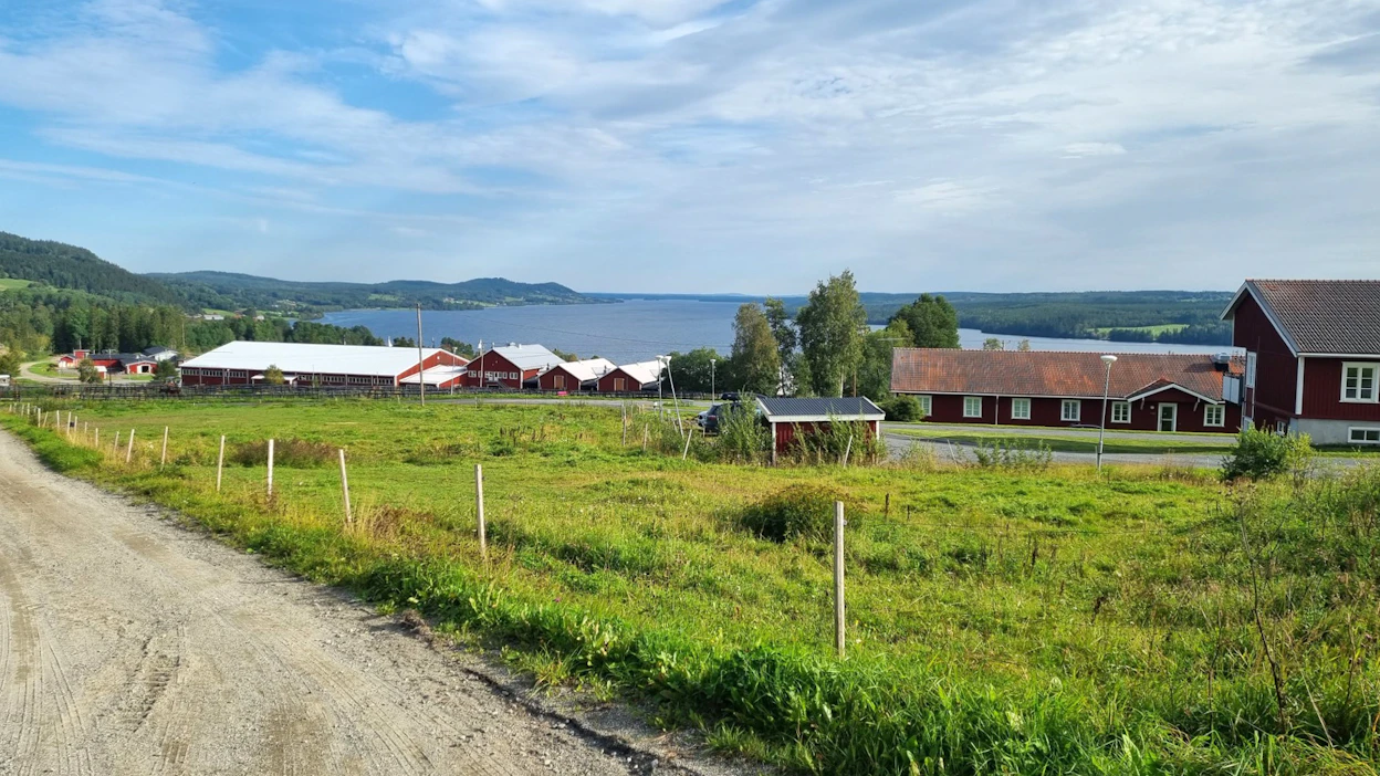 Jämtlannissa sijaitseva Wången on luonnonkauniilla paikalla. Oppilaitoksen pääopetussuunnat ovat raviurheilu ja islanninhevoset.