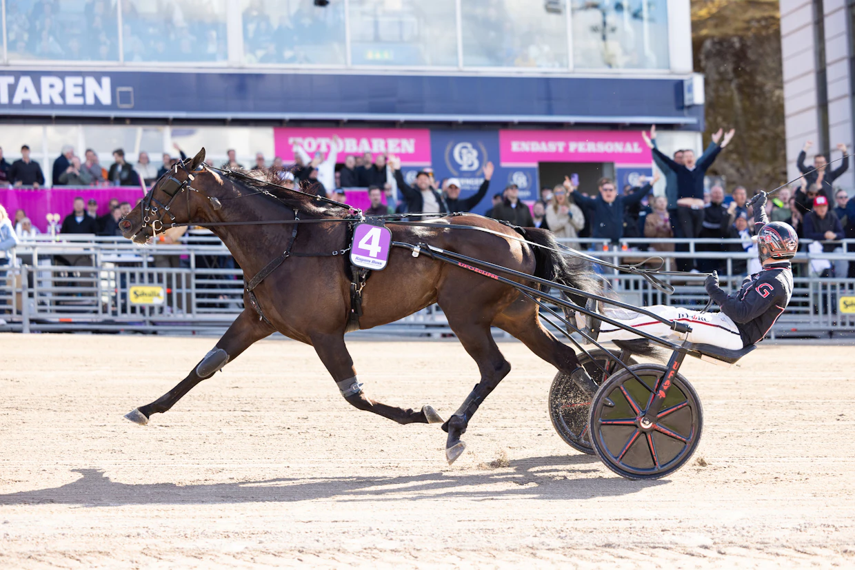Magnus Teien Gundersen voitti Bold Eagle Sunin kanssa Klass II -finaalin Elitloppet-lauantaina.