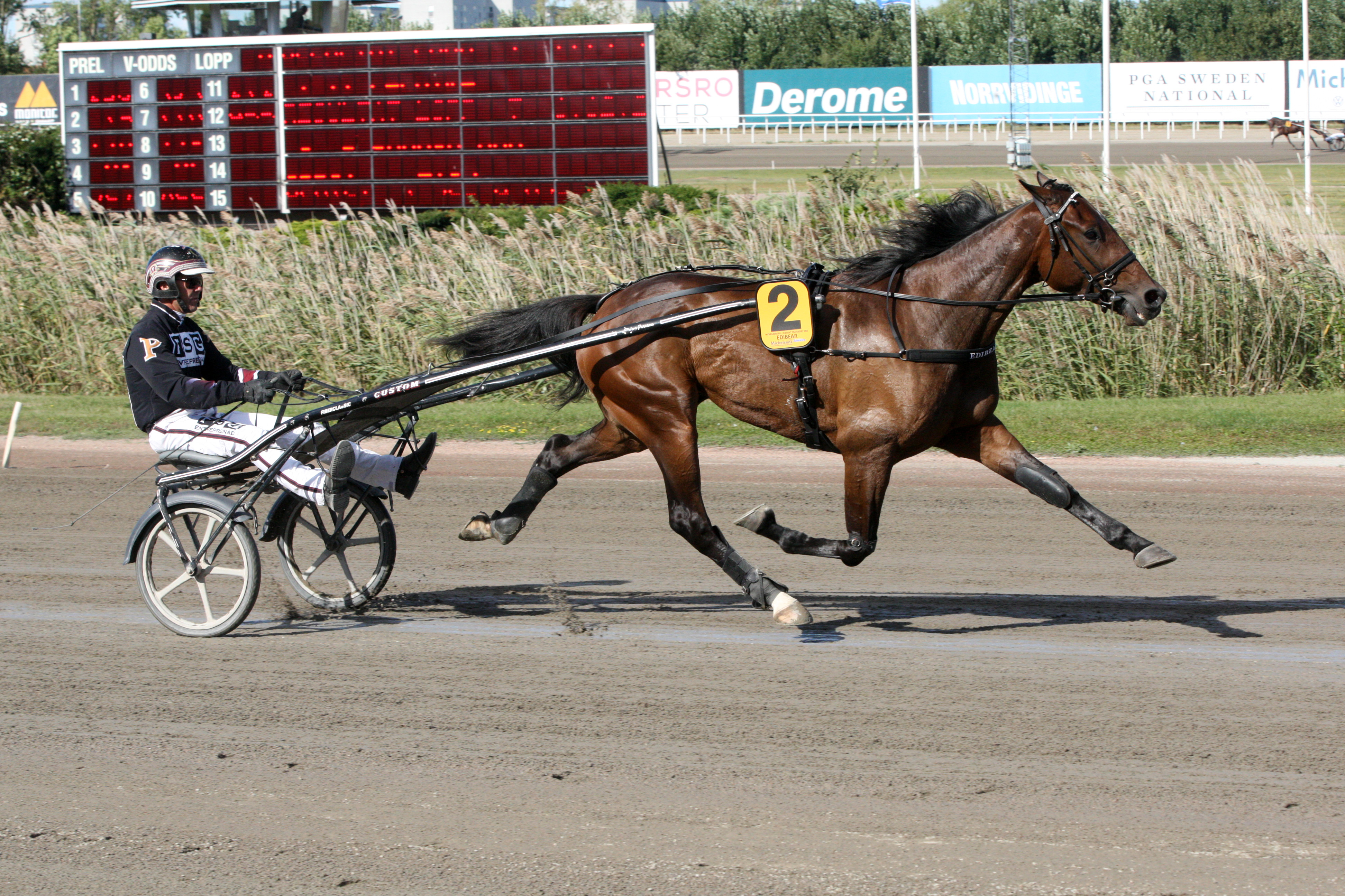 Edibear oli Axevallan kultadivisioonan vahvin. 