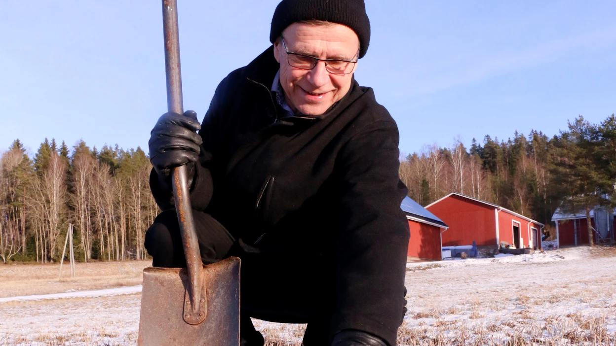 Pelto sai kipsikäsittelyn syyskuussa ennen syyskylvöä eikä suorakylvetyllä vehnällä näytä olevan hätää, Mikko Lindberg Paimiosta kertoo. Hän kehuu levittäjiä. Työ on tehty juuri silloin, kun viljelijälle sopii.