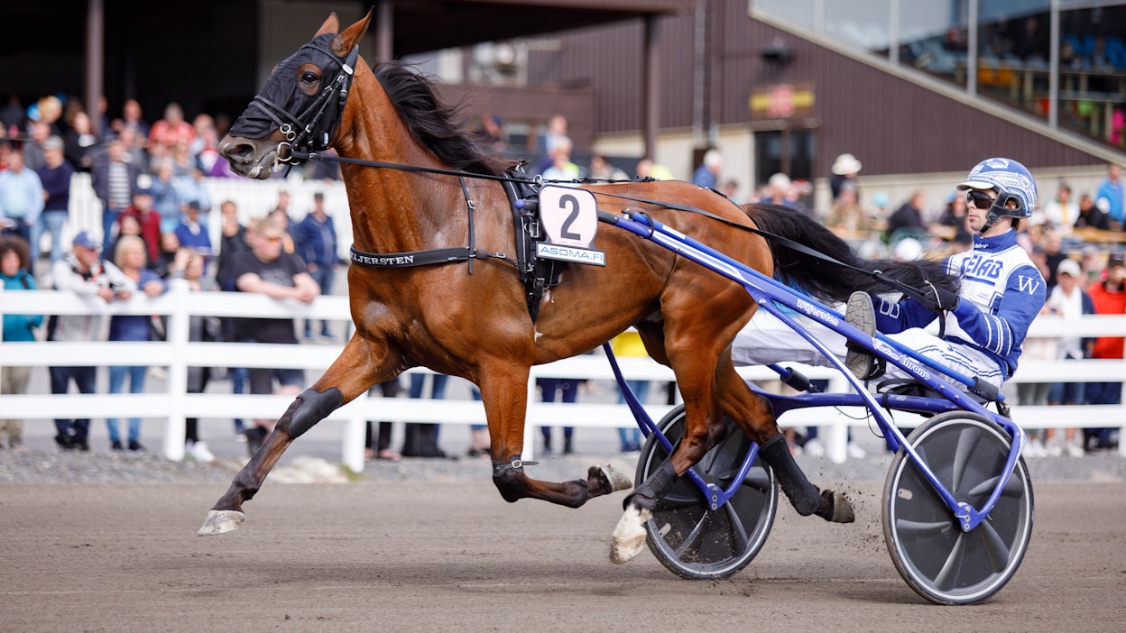 Vihjesysteemin toinen varma Esprit Sisu on tuttu näky myös Suomen kamaralla. Ruuna nähtiin tänä vuonna Seinäjoki Racessa ja St Michelissä. Seinäjoella hevonen sijoittui toiseksi ja Mikkelissä viidenneksi.