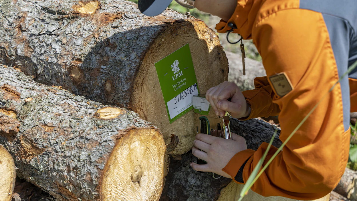 UPM sai metsänomistajilta eniten kymppejä puukaupoistaan, mutta se keräsi myös heikompia arvosanoja osasta kaupoista.