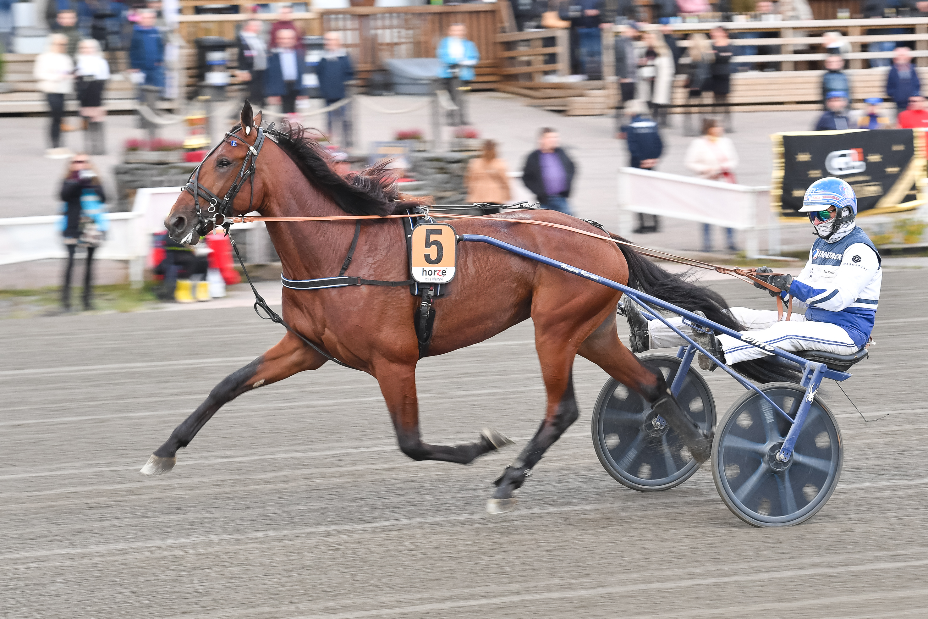 Arctic Emerald on Uudenmaan Upeimman ennakkosuosikki.