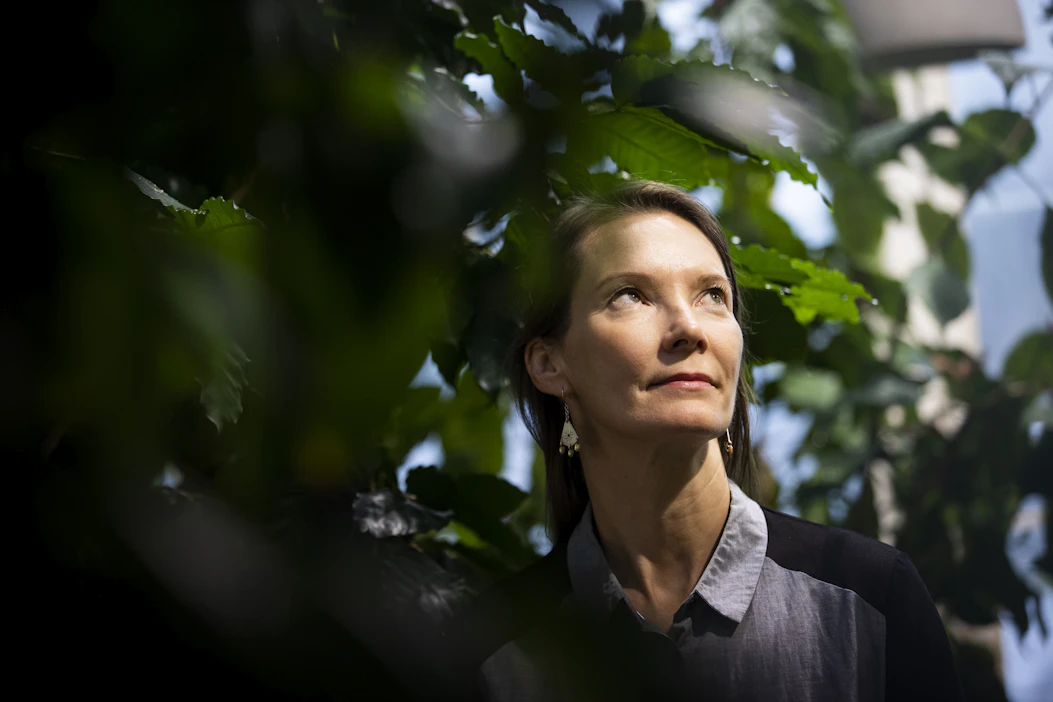 Pirjo Kristiina Virtanen ei hätkähdä enää kotimaan hyttysparvia, sillä sademetsissä niitä on moninkartainen määrä ja suojautuminen on vaikeaa.