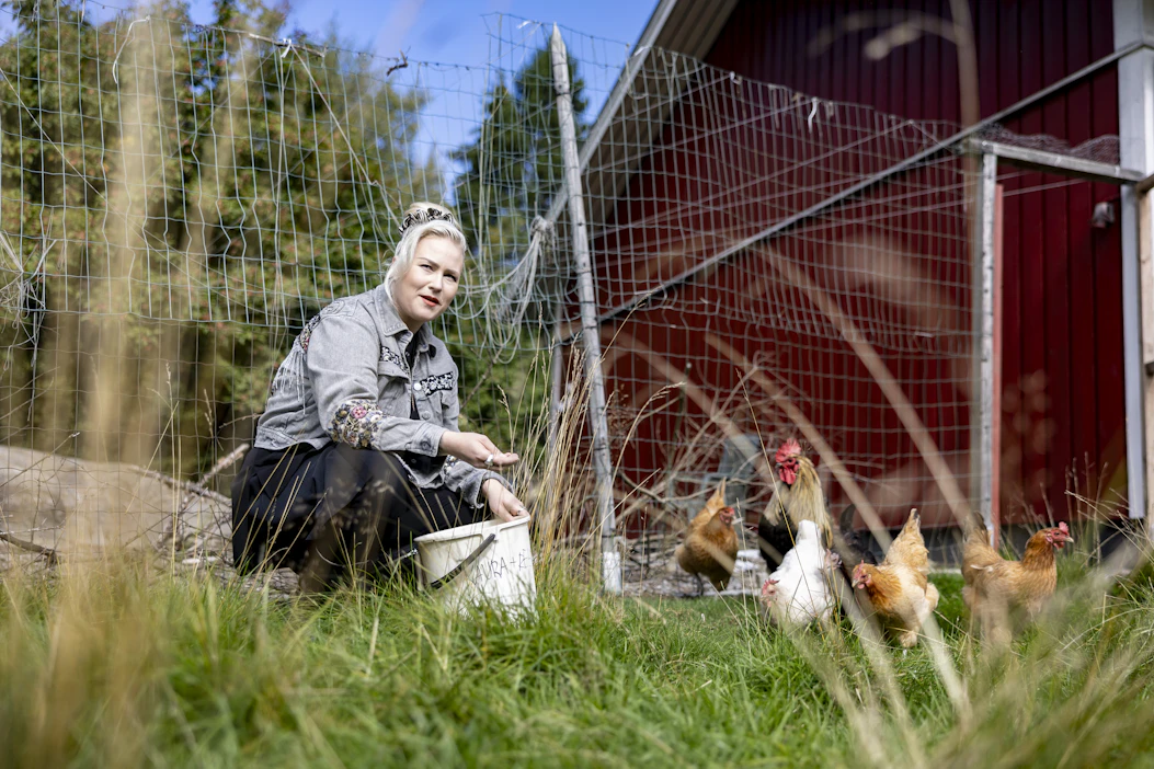Kanat tulivat Noora Louhimolle maallemuuton myötä talon mukana. ”Kanojen elämää on terapeuttista seurata”, hän toteaa.