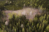 Puukauppoja on tänä vuonna solmittu viimevuotiseen tahtiin.