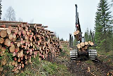Metsänhoitoyhdistykset ovat siirtäneet valtakirjakauppojen puun omaan Pino-palveluunsa.