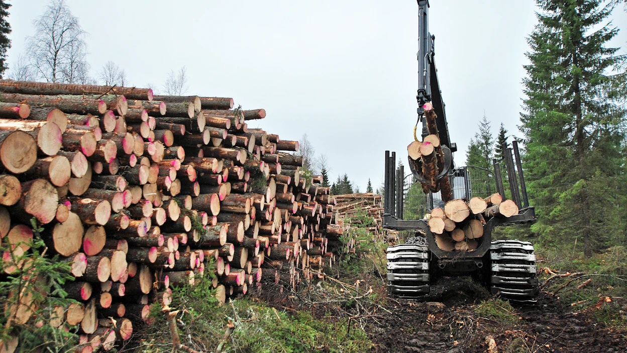 Metsänhoitoyhdistykset ovat siirtäneet valtakirjakauppojen puun omaan Pino-palveluunsa.