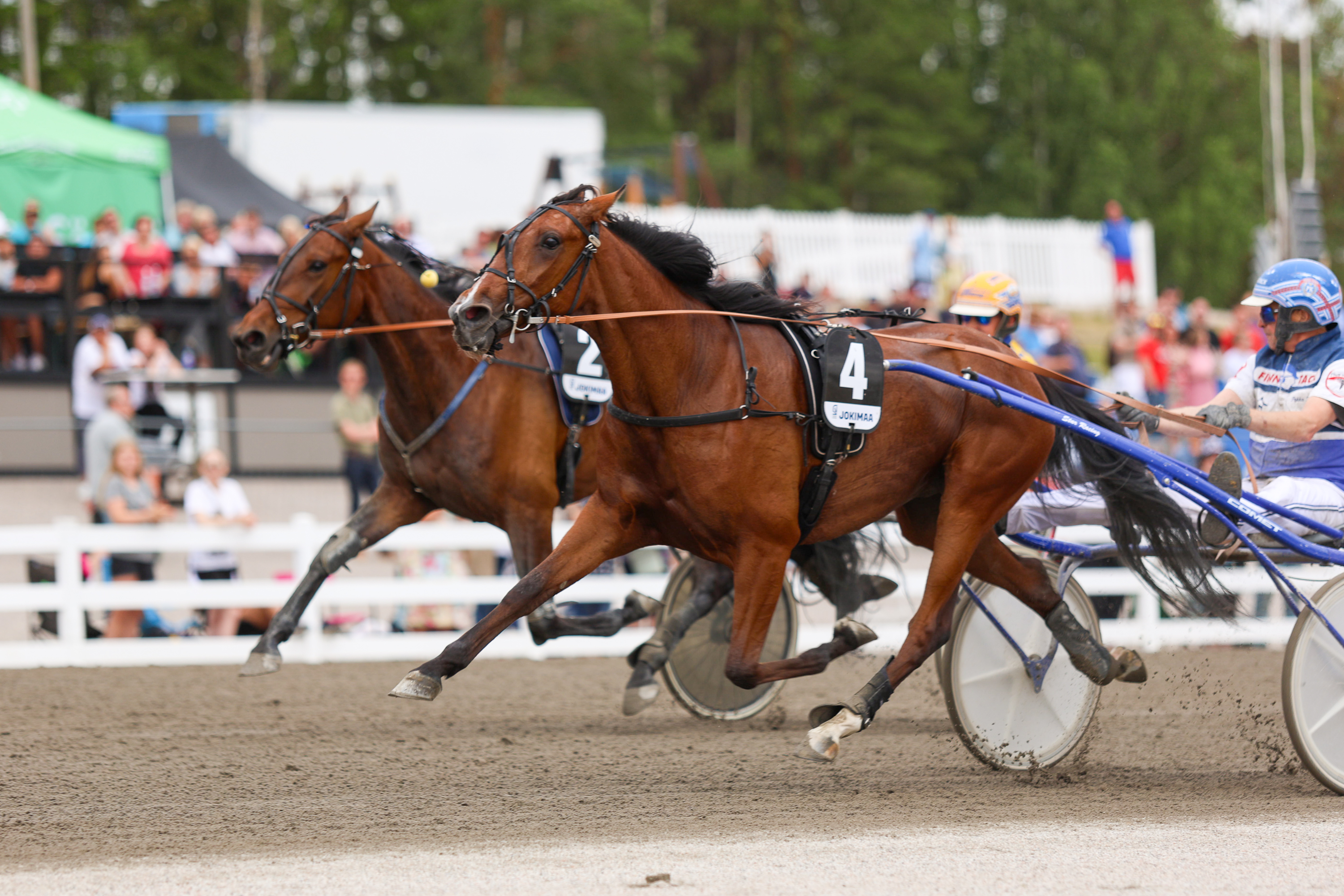 Pekka Korven ajama ja valmentama Ginza oli Tammahambon ykkönen. Omistaja ja kasvattaja on Equi Fut.