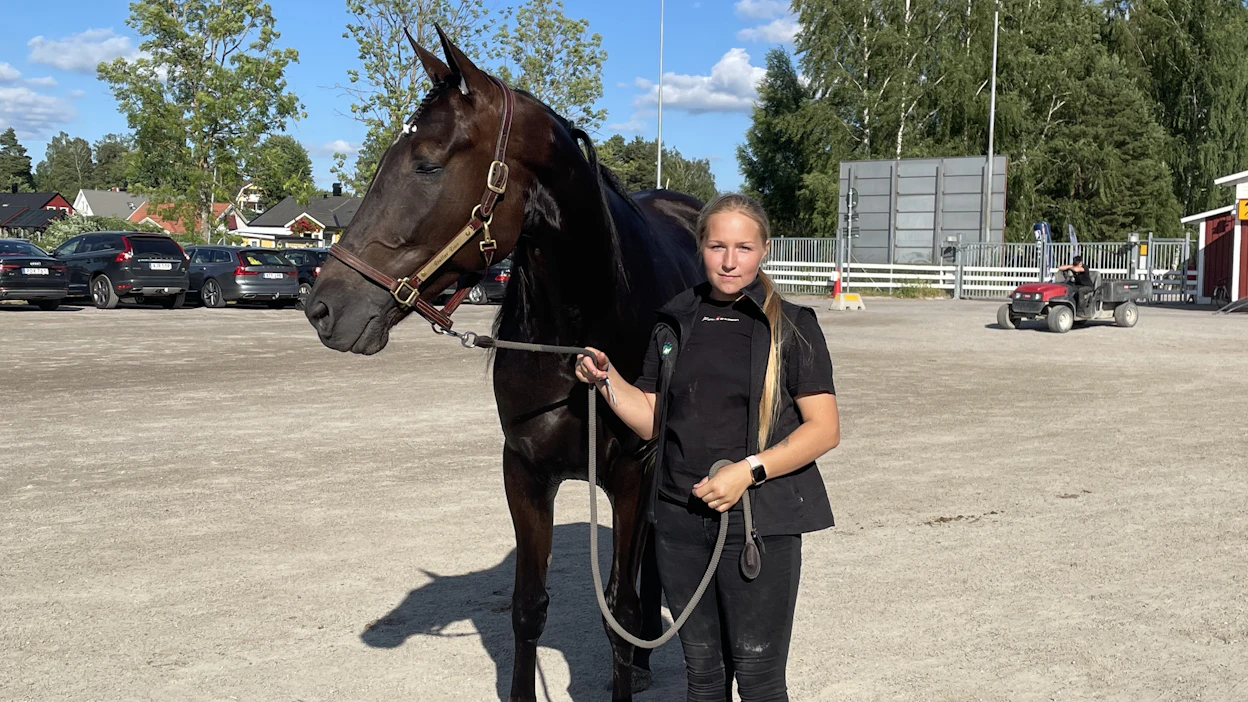 Janina Glad viimevuoden Breeders Crown-kolmosen Dollar Docin kanssa Eskilstunan tallialueella ennen lauantaista T75-starttia.