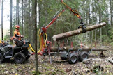 M36-nosturissa riittää voimaa isompienkin pölkkyjen nostoon.