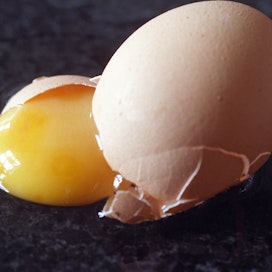 Suomalaisen kananmunan voi turvallisin mielin syödä vaikka raakana pelkäämättä saavansa salmonellatartunnan. 