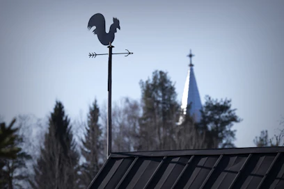 Puuskainen tuuli tuo mukanaan kylmää ilmaa ja sunnuntaihin mennessä päivälämpötilat jäävät alle 10 asteen koko maassa. 
