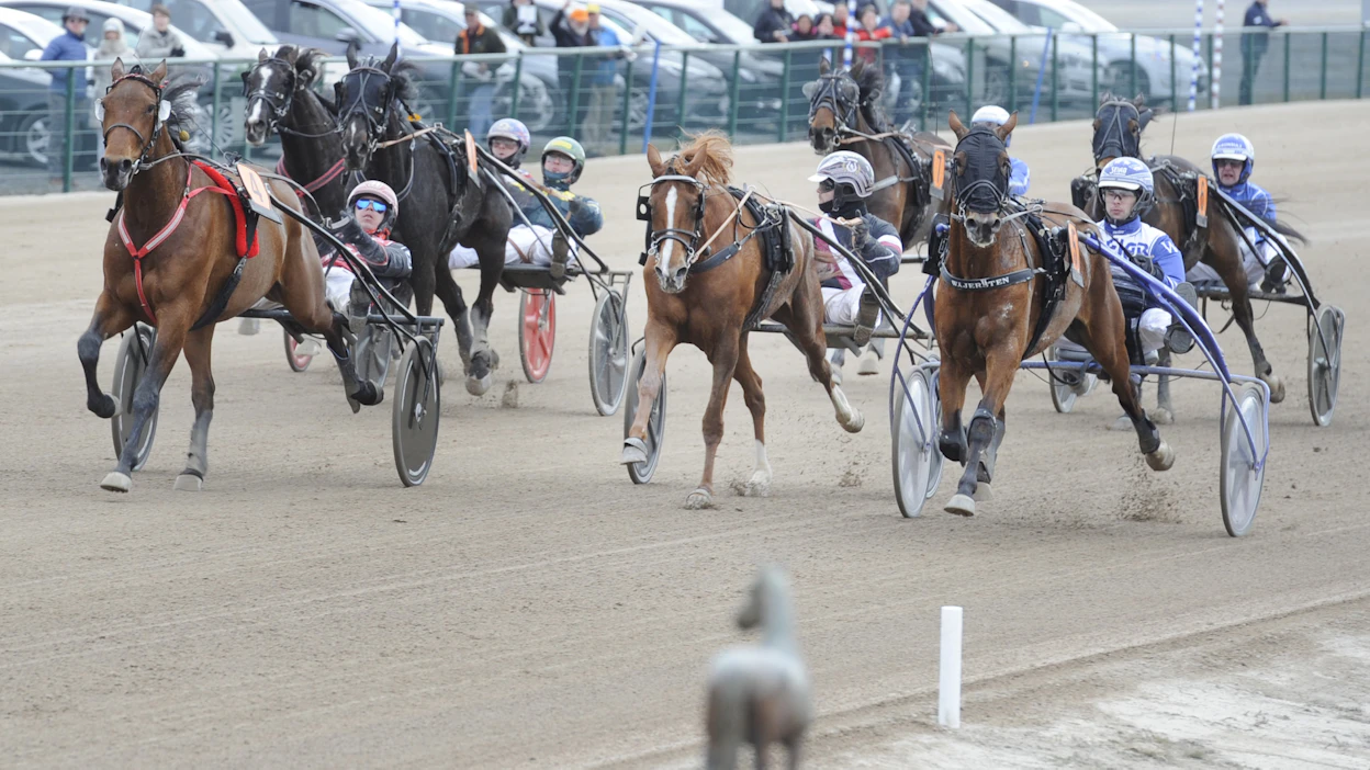 Viime vuonna Seinäjoki Racen voittajaksi kiri Santtu Raitalan ohjastama Willow Pride.