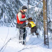 Anna-Mari Piitulainen pitää kokemustensa perusteella realistisena, että koiria voitaisiin käyttää metsätuhojen paikantamisessa.