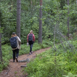 Malminetsintä on uuden luonnonsuojelulain nojalla kielletty kansallispuistoissa ja luonnonpuistoissa kokonaan. Kuvassa Teijon kansallispuisto.