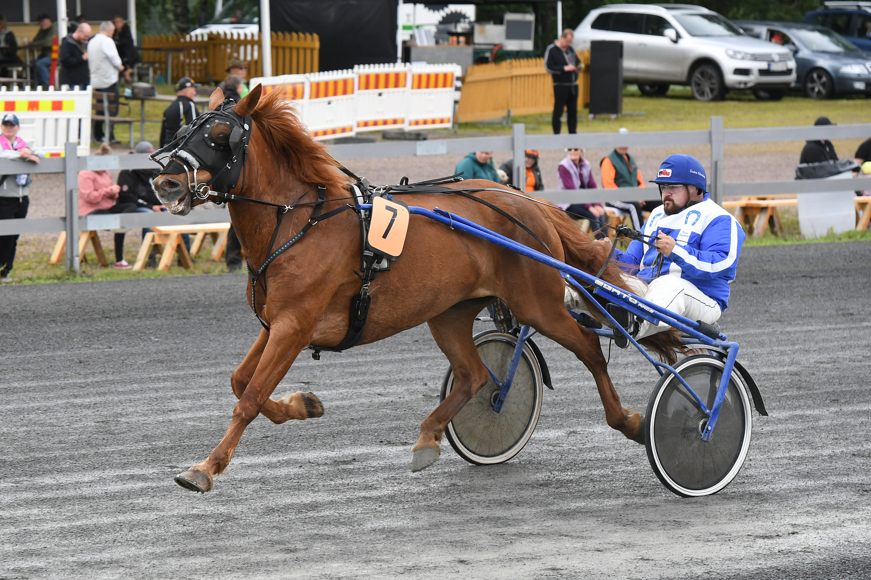 Santeri Oikarainen on ajanut urallaan lähes 260 starttia. Kuvassa Santeri Veli Mourujärven valmentaman Tarun Tuhkimon rattaiilla Ylivieskan Kavioliigaraveissa elokuun alussa.